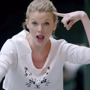 Aritzia Talula Adachi cat cropped sweater as seen on Taylor Swift  - size S